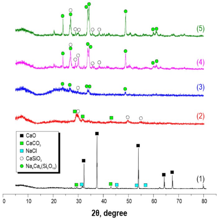 Иллюстрация к публикации «Synthetic Calcium Silicate Biocomposite Based on Sea Urchin Skeleton for 5-Fluorouracil Cancer Delivery»