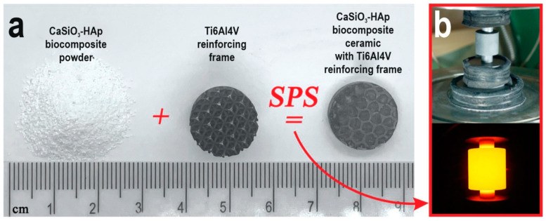 Иллюстрация к публикации «CaSiO3-HAp Metal-Reinforced Biocomposite Ceramics for Bone Tissue Engineering»